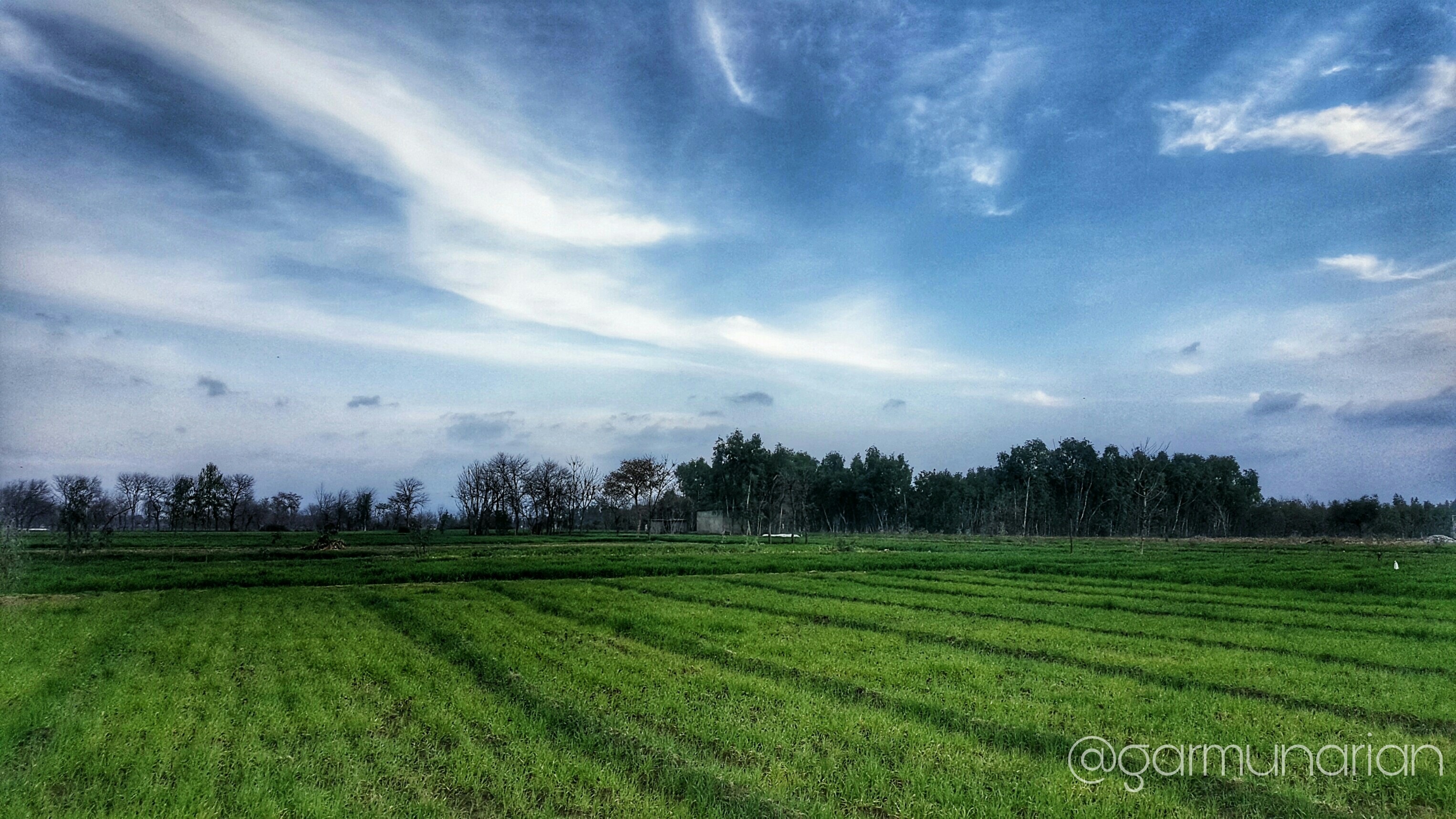 naturelovers