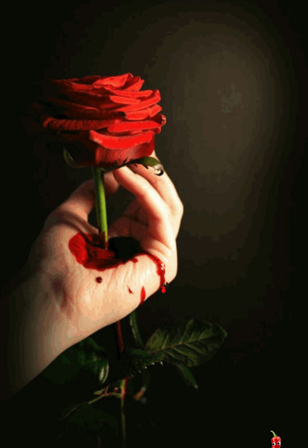 Одна роза в руке