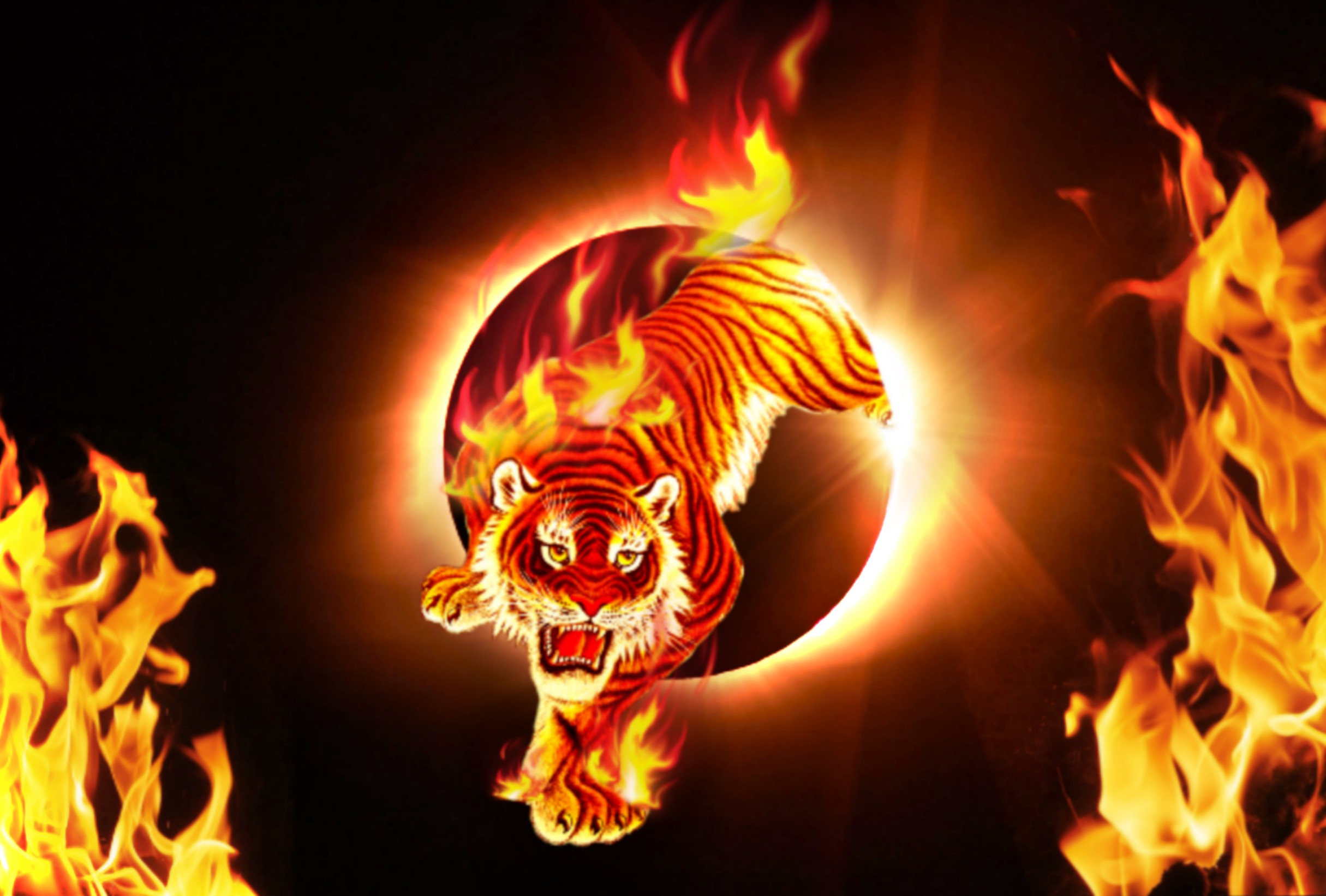 Лев солнце огонь
