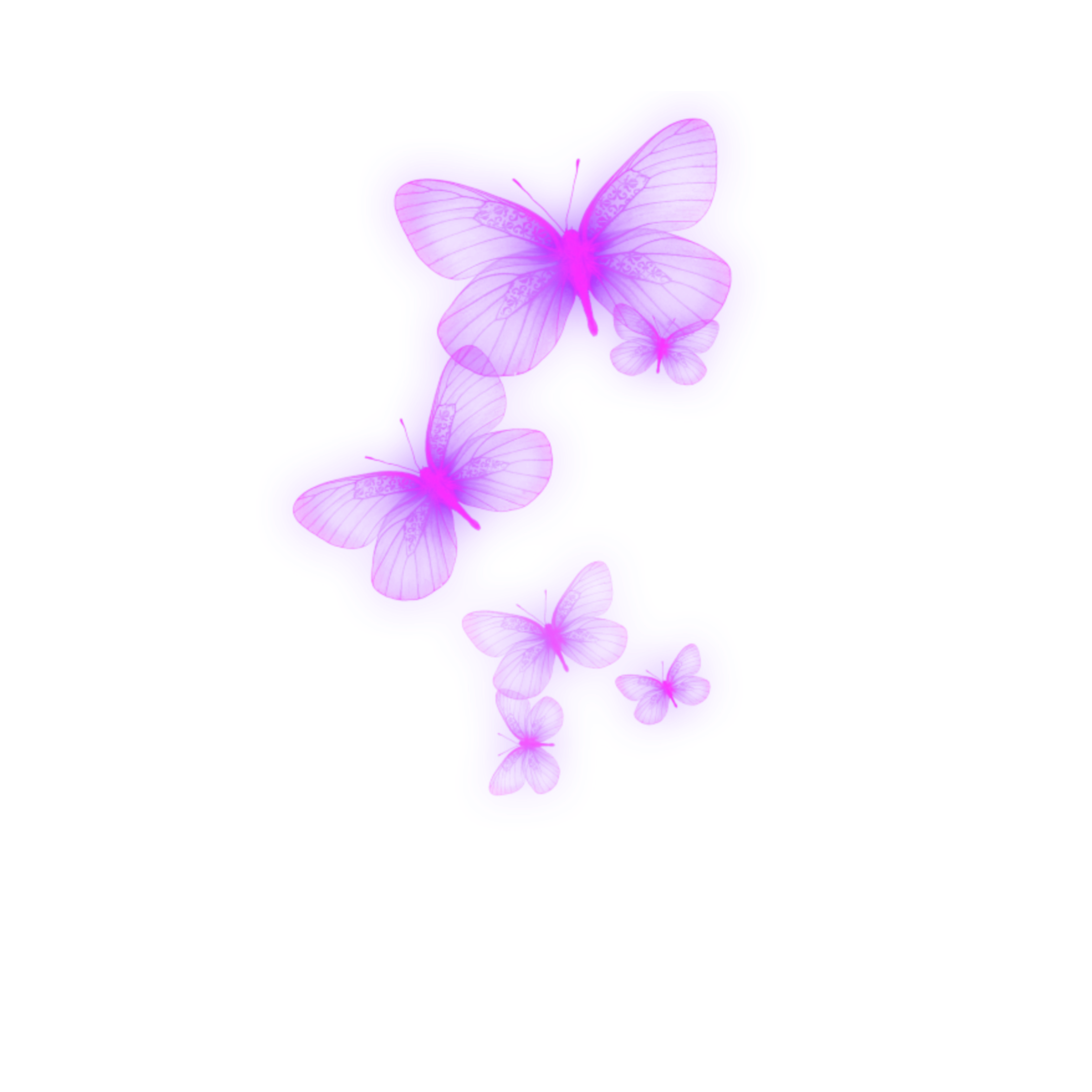 neon purple lila butterfly schmetterling...