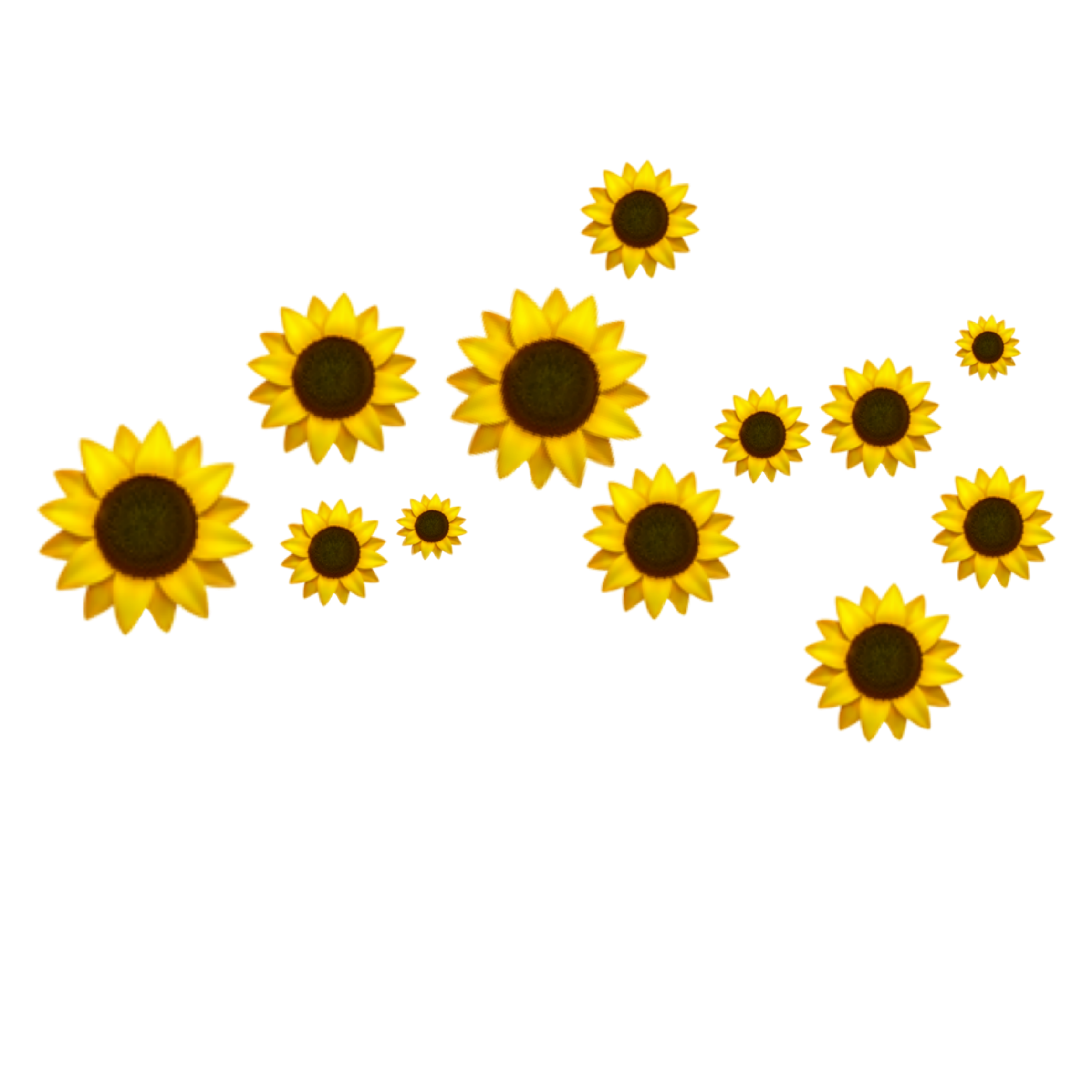 sunflower flower yellow crown aesthetic emoji tumblr...