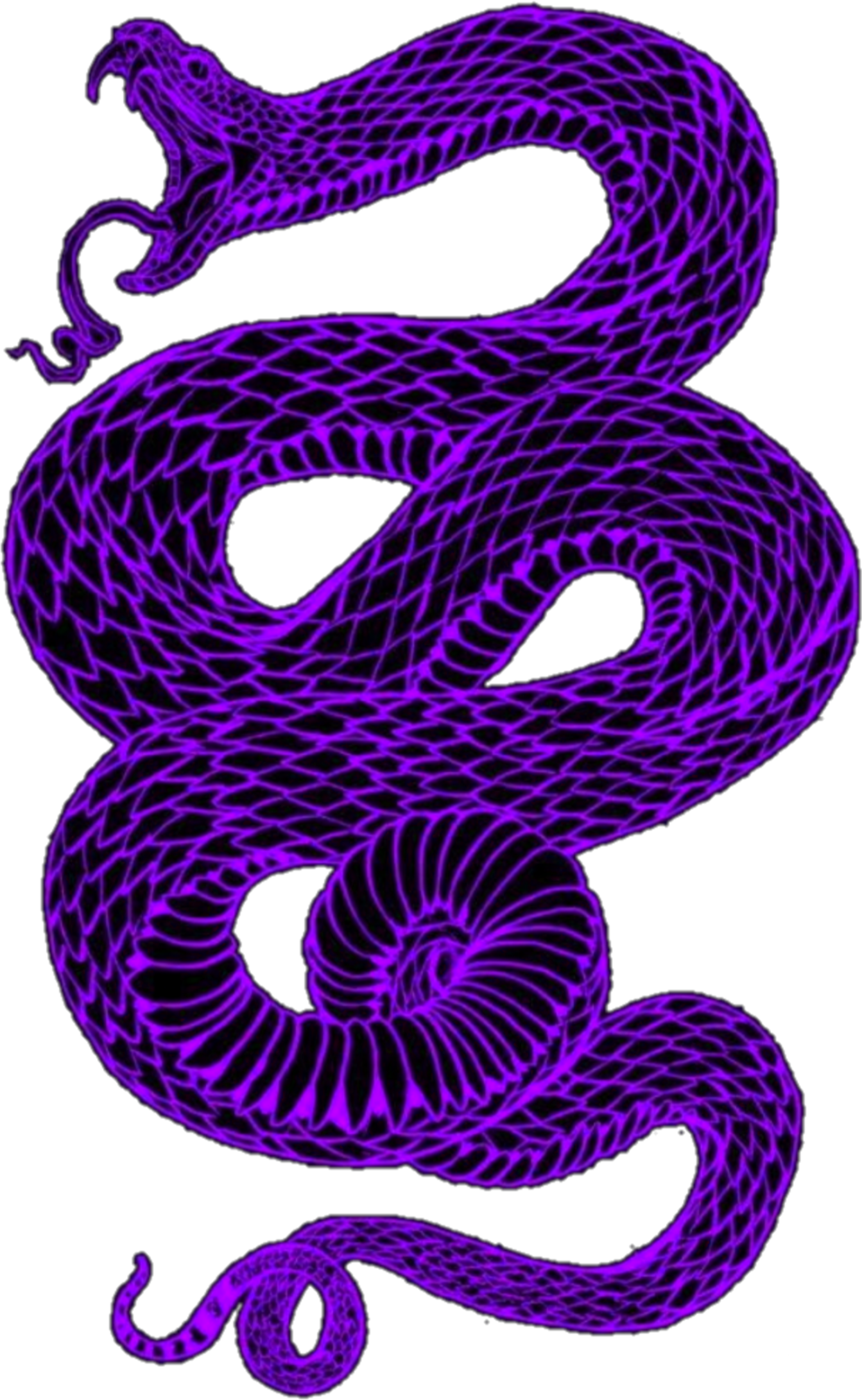 purple snake aesthetic dark goth eboy egirl snakes punk...