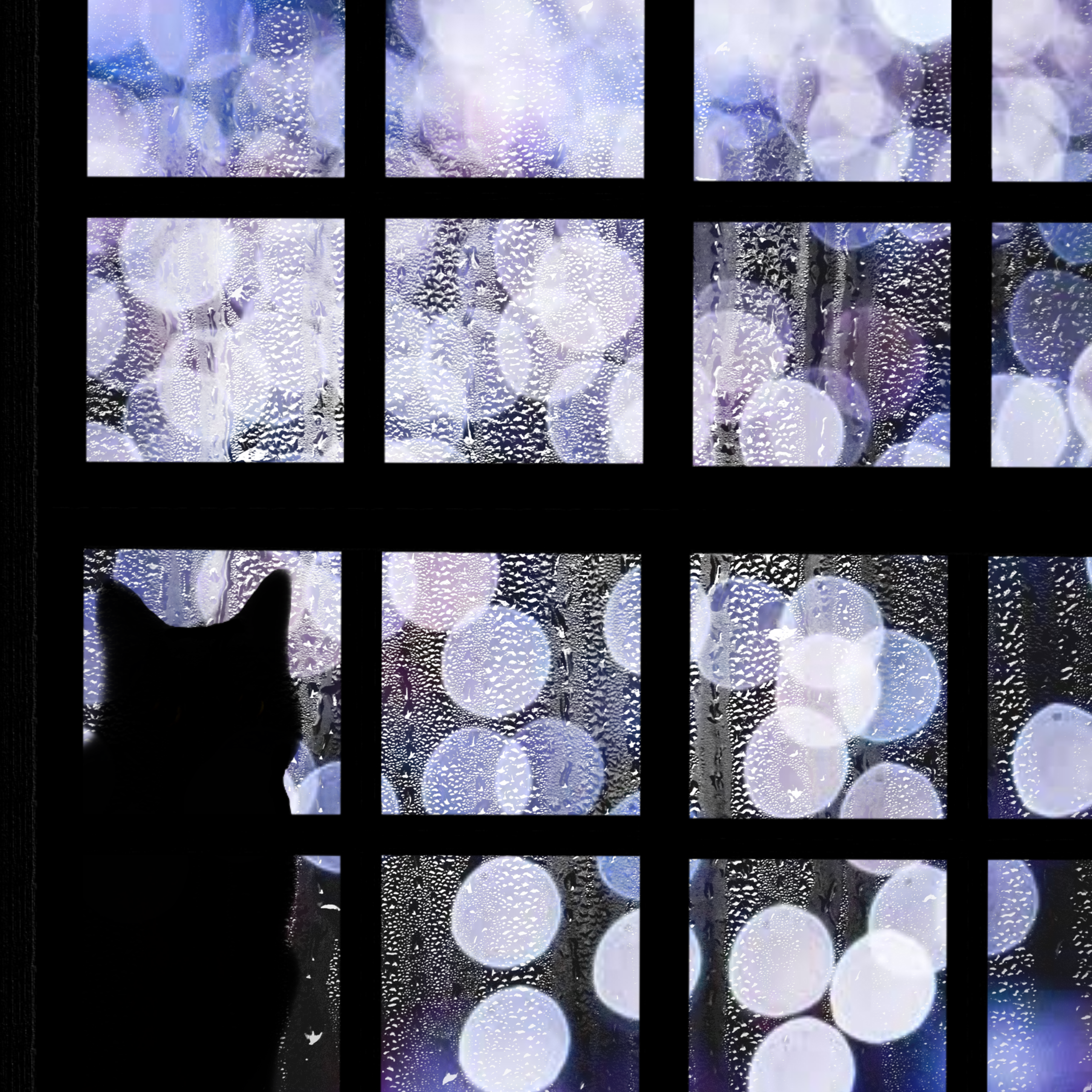 freetoedit edit rain window cat shadow...