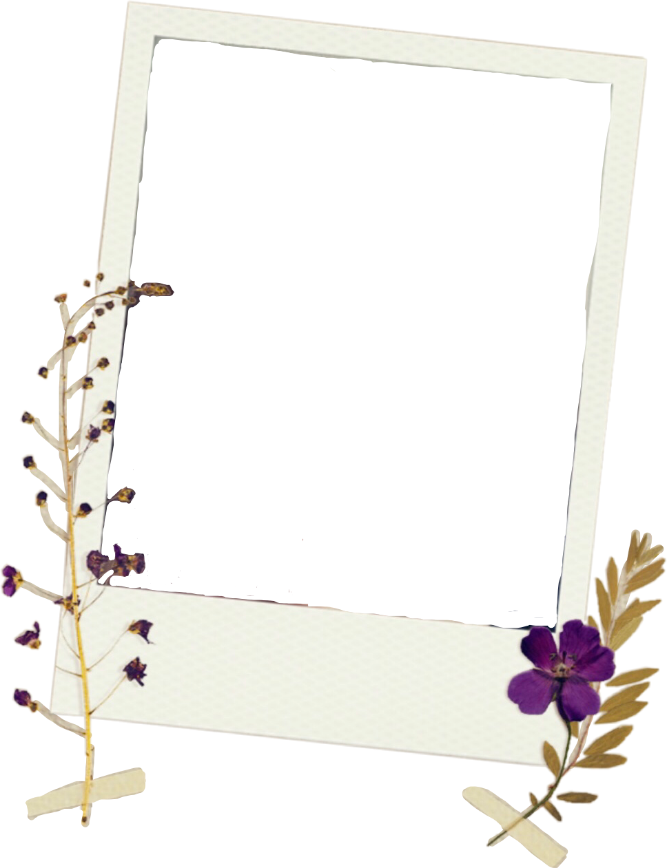 frame polaroid picture flowers tape vintage cute freeto...
