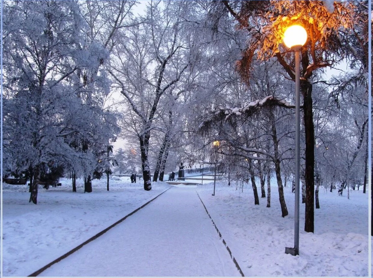 Вечерний зимний парк