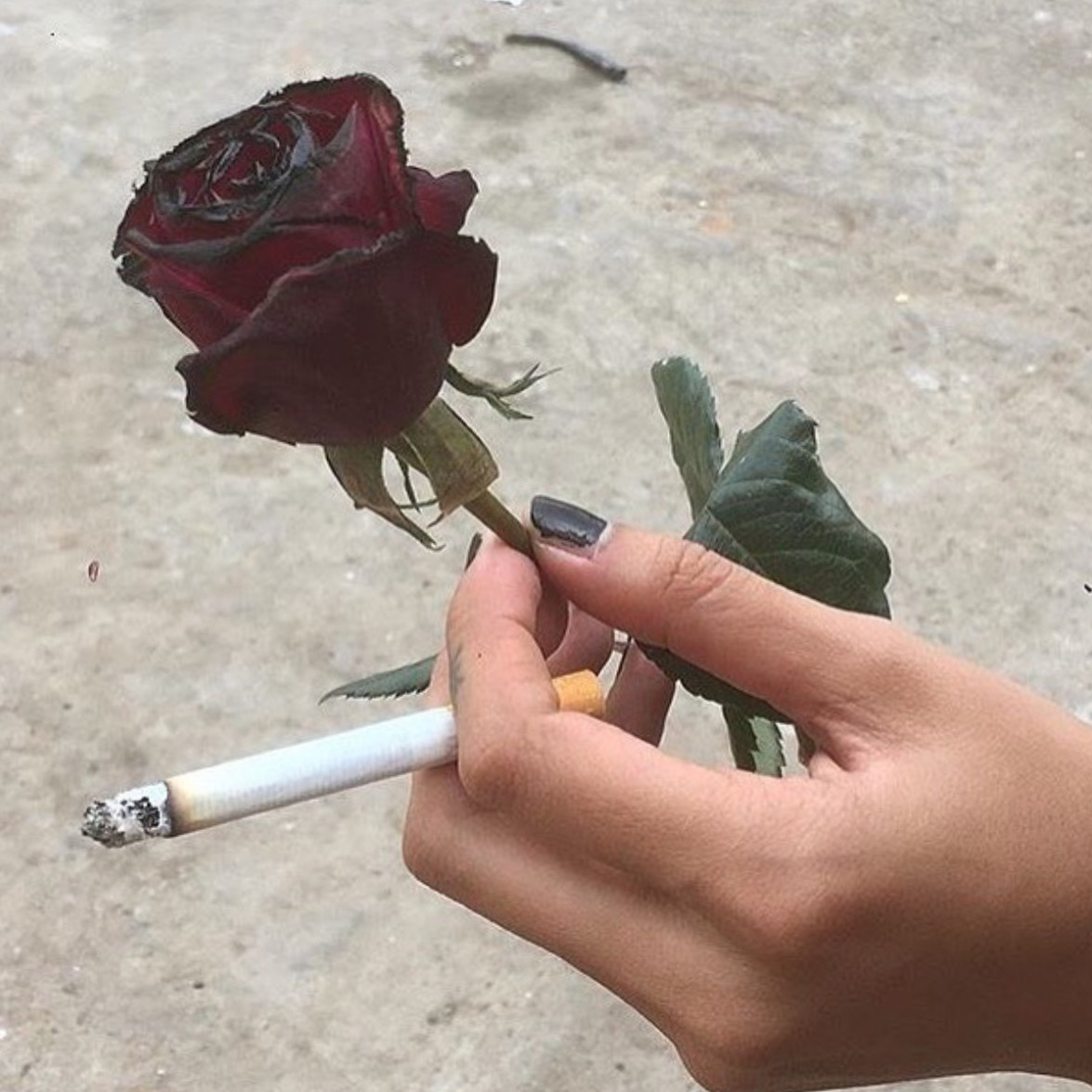 Куртка Кр 1086 4 Black Rose — Krutayakurtka.ru