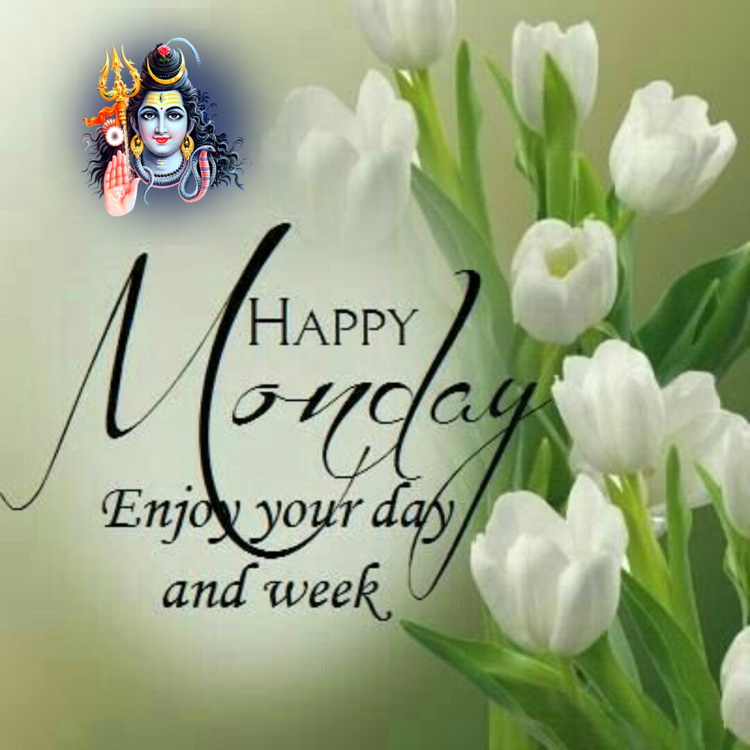 Happy Monday and New week