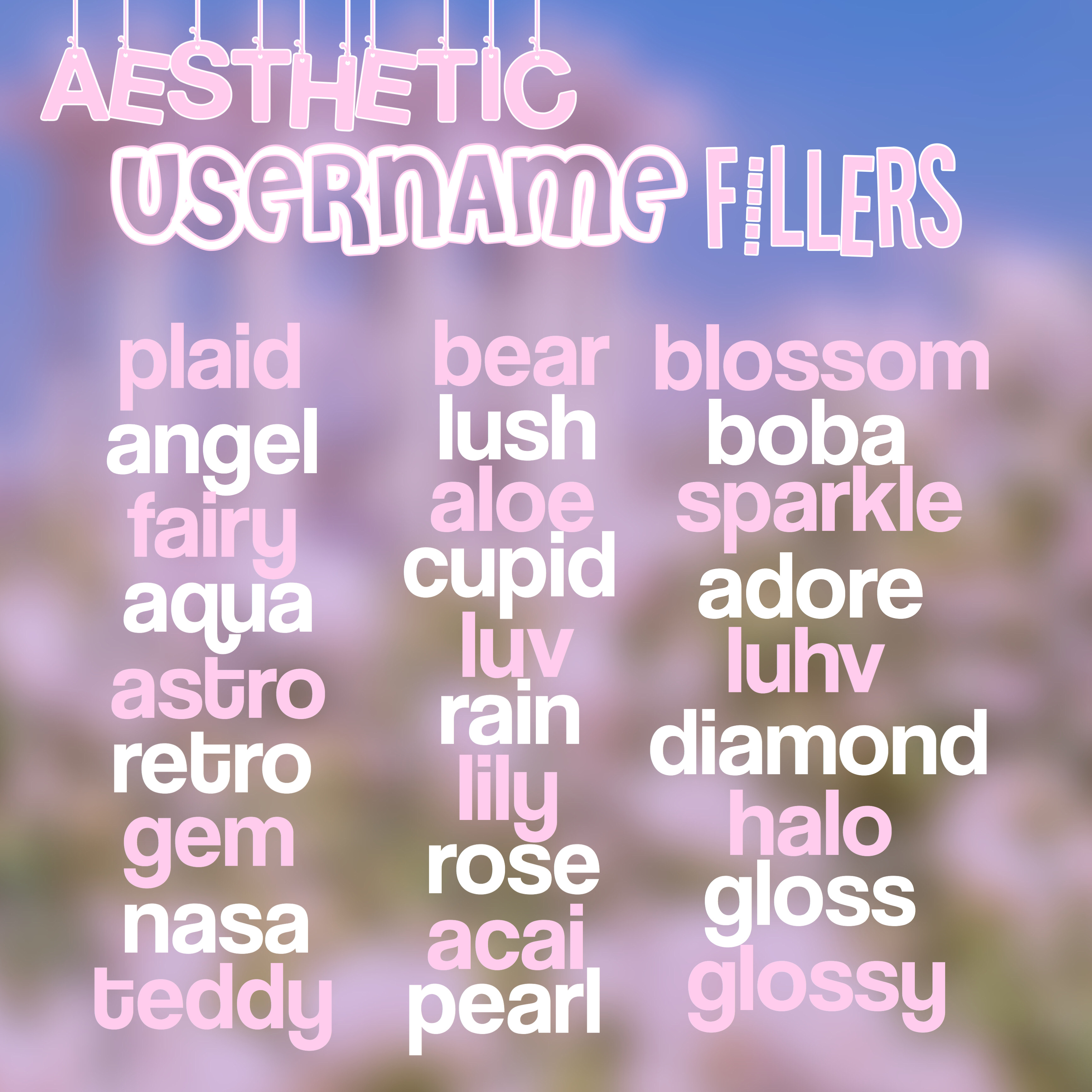 Soft Aesthetic Usernames For Tik Tok Fepitchon
