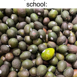 freetoedit avocado meme relatable