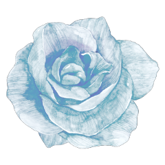 blue lightblue babyblue pastelblue blueaesthetic lightblueaesthetic rose roses bluerose blueflower botanical flower pastel pastelflower freetoedit