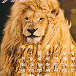 freetoedit august calendar lion crown sparkle starsign leo zodiac srcaugustcalendar2022 augustcalendar2022