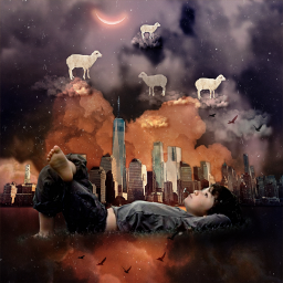 fantasy surrealism fun sheep buildings skyandclouds stars moon calm ecamiintherightplace amiintherightplace freetoedit