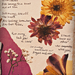 journaling flowers aesthetic lyrics song purple yelloe wildflower scrabook