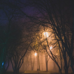 memories2021 foggy foggynight foggyevening park nightphotography moscow local pc2021memories 2021memories