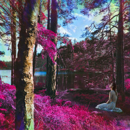 forest magical lake pink drramy dreaming nature landscape heypicsart trees colorful woods scandinavia freetoedit