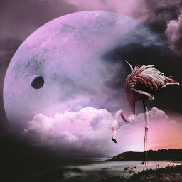 fantasy fantasyart landscape night waterreflection planet planets moon purple clouds sky flamingo freetoedit