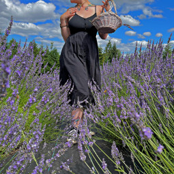 freetoedit lavender flowers flowerfields