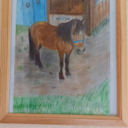 picture draw horse beautiful