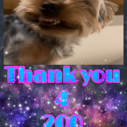 freetoedit bestfollowers thankyou dog smile 200 followkindpersonabc ethanlife