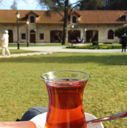 freetoedit photography tea teatime nature istanbul turkey followme keşfet picsart picoftheday