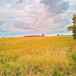 outofthewoods picsoftheday sararufusthearchers hiking nature natureaesthetic natureedit bluesky clouds field meadows pasture plants sky yellowhue yellowtint sunlight beauty adjust indie2 hdr1 hdportrait vcr2 sunny sunnyeffect freetoedit