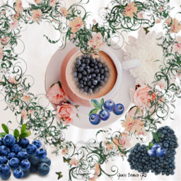 colors flowers freetoedit ircblueberrybowl blueberrybowl