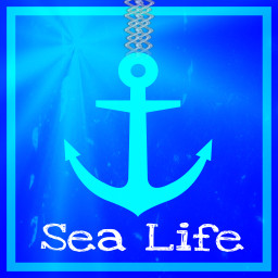 water blue sea sealife freetoedit