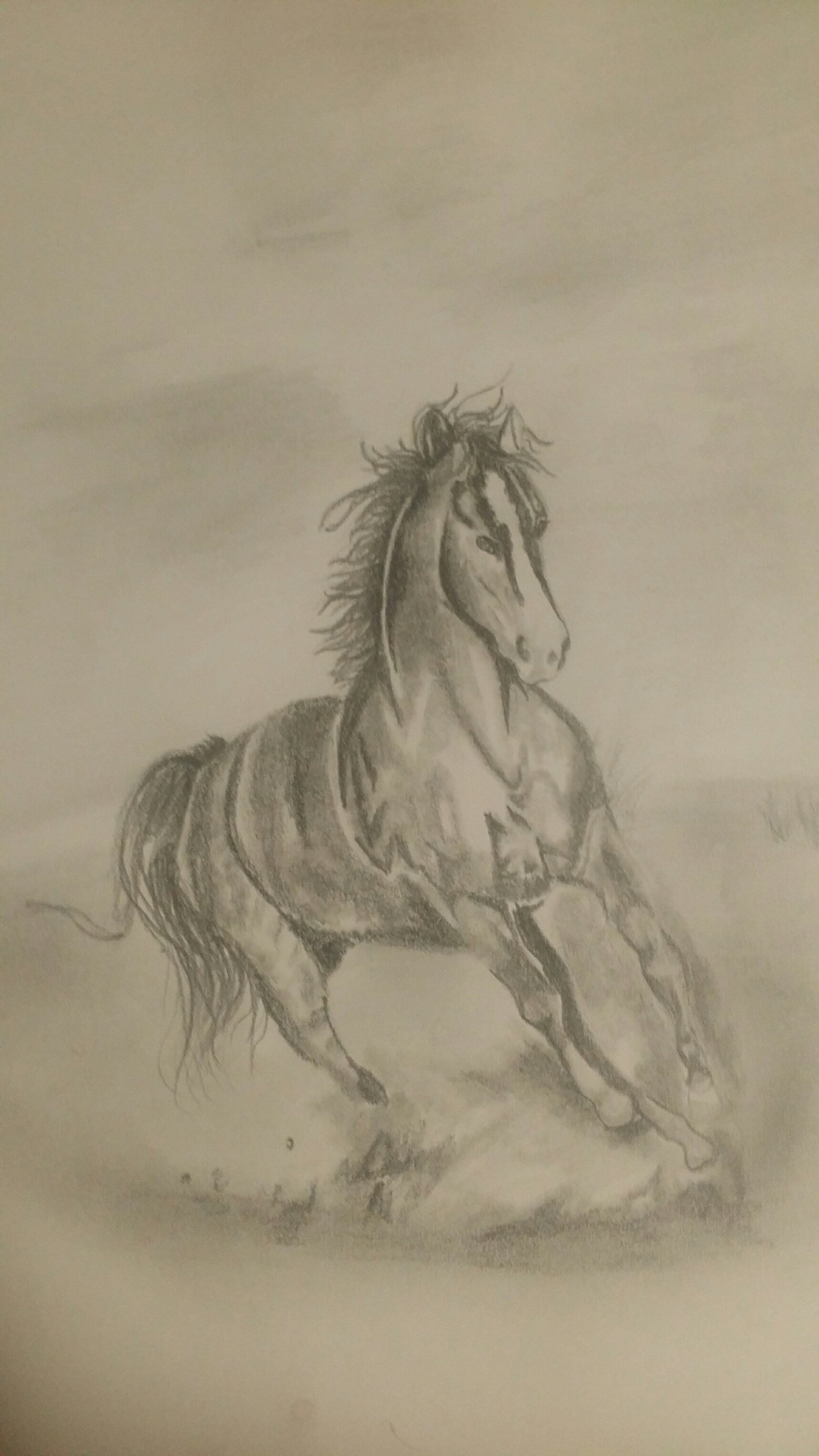 FreeToEdit myart horse animals pencil art shading...