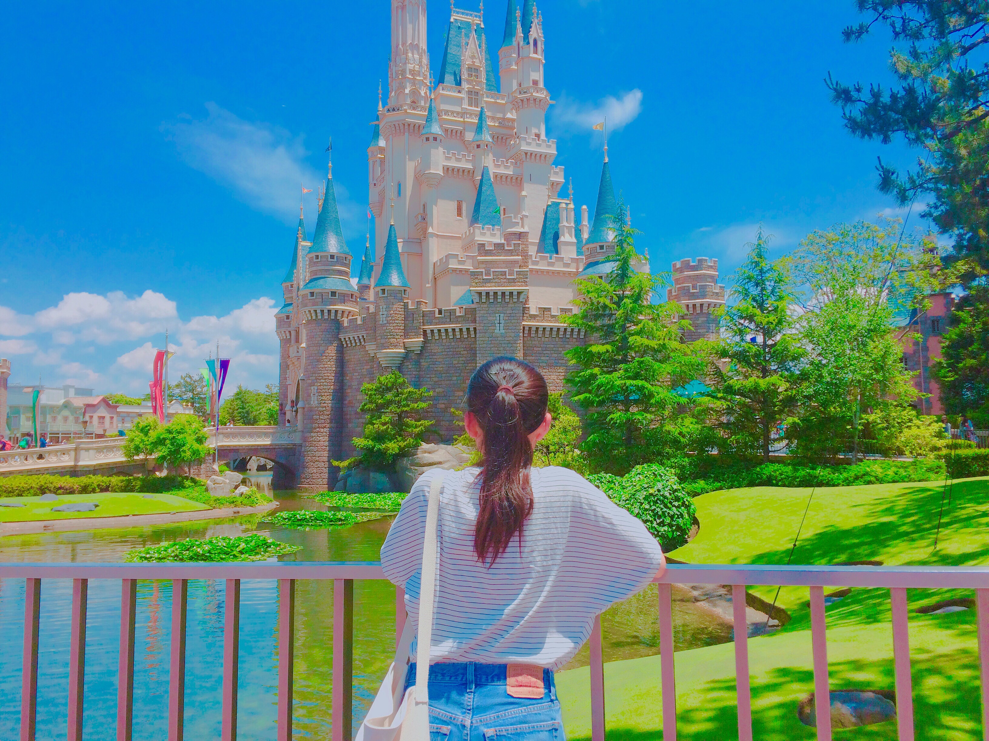 Disney Photo 第1弾 Tdldisneyenjoy シンデレラ城