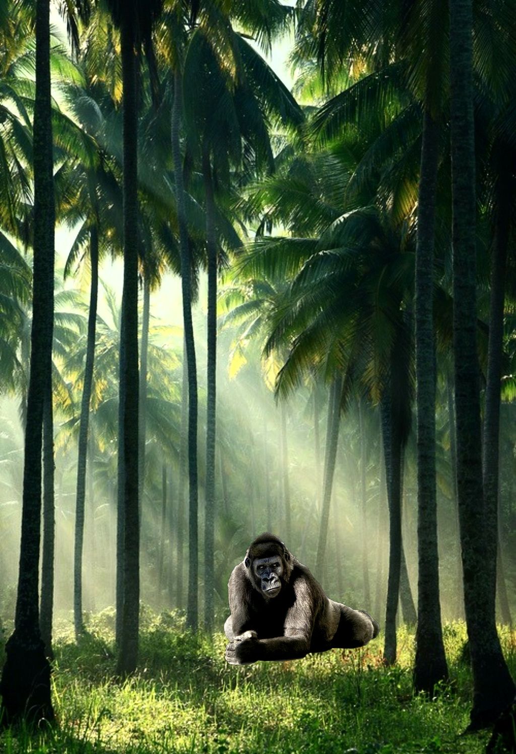 Jungle Trees Gorilla Lighting Freaky Stare Staredown Jungle Trees Gorilla Lighting Freaky Stare Staredown