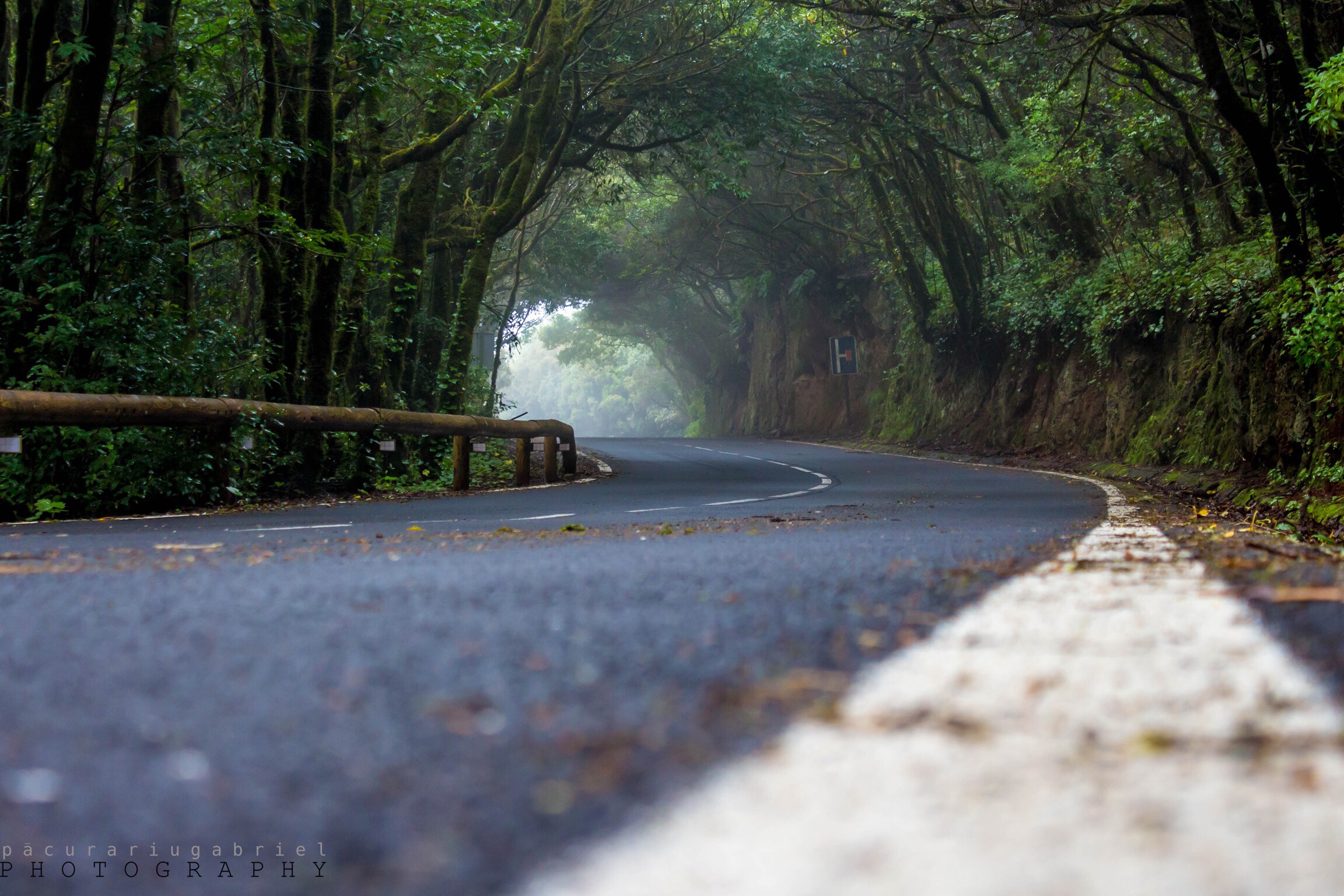 landscspe roadside nature image by @gabrielphotography