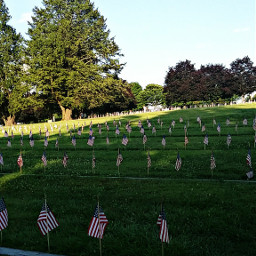 freetoedit america gettysburgcemetery flags remember