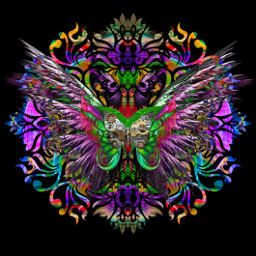 freetoedit symmetry wings