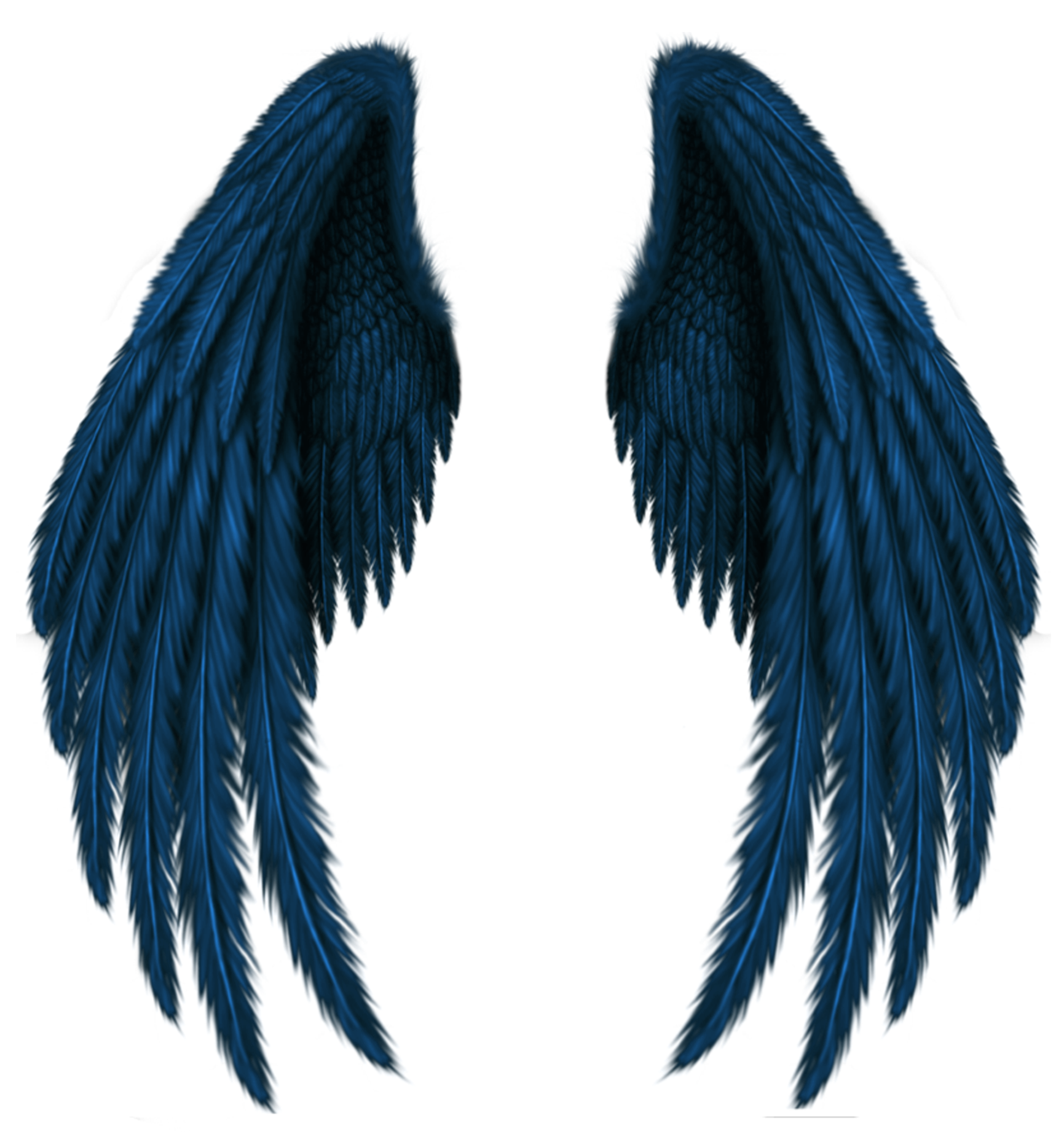  wings  wing  blue angelwings wingsofanangel bluewings cut 