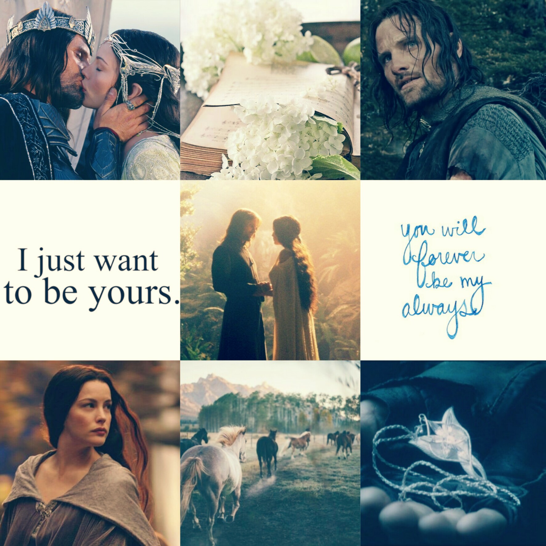 This visual is about aesthetic Aragorn x Arwen #aesthetic.