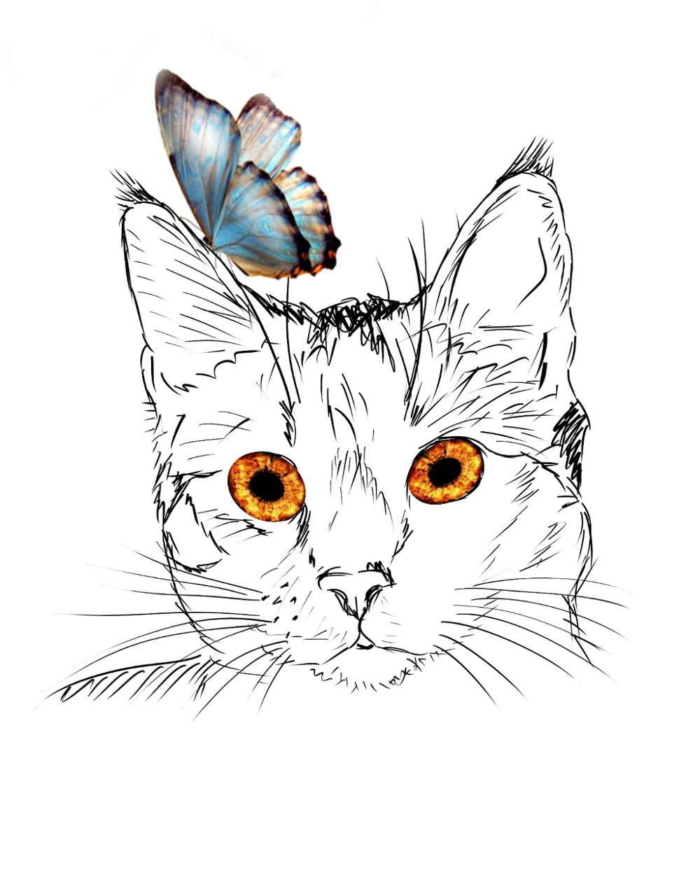 #cat #butterfly #eyescat #drawing