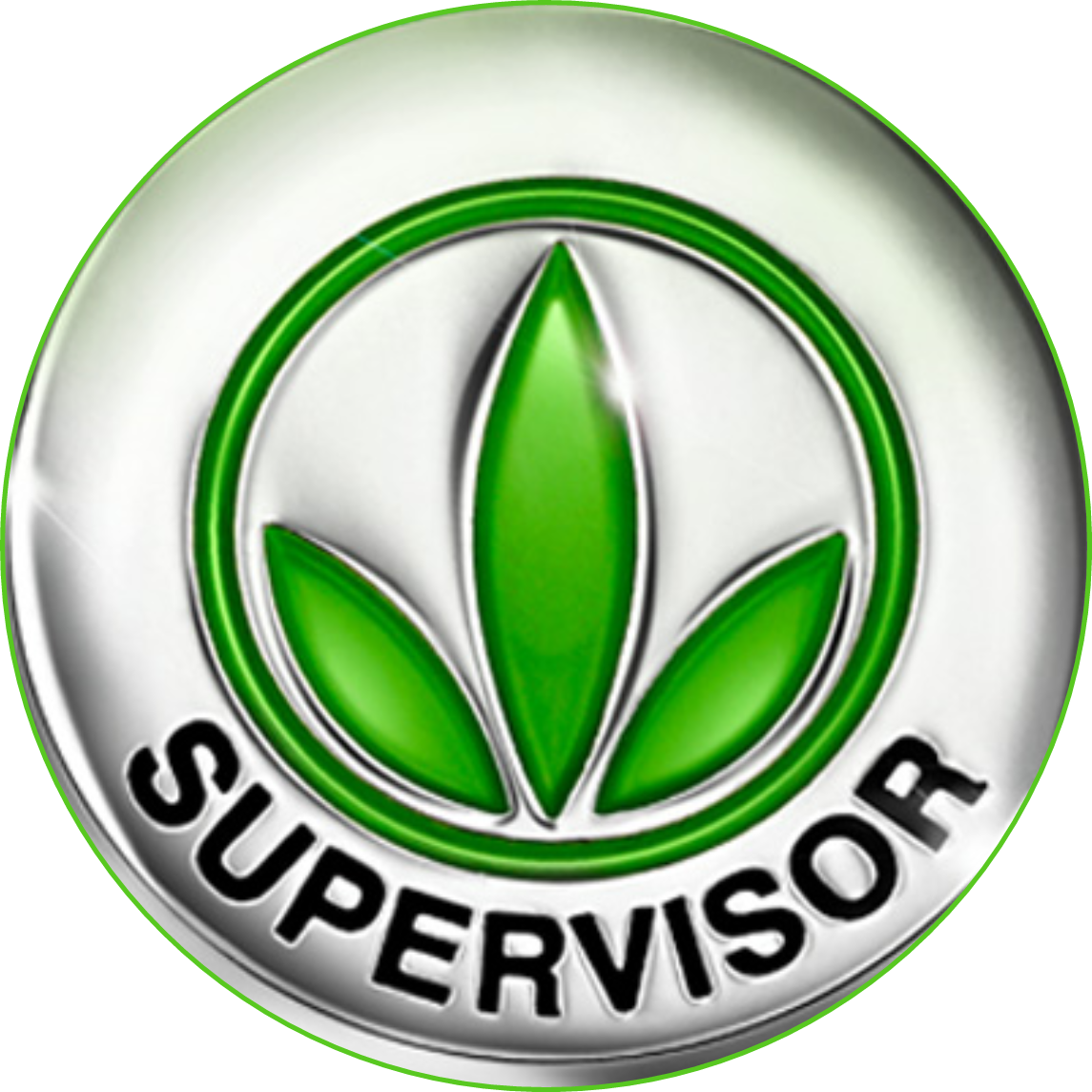 Herbalife supervisor pin