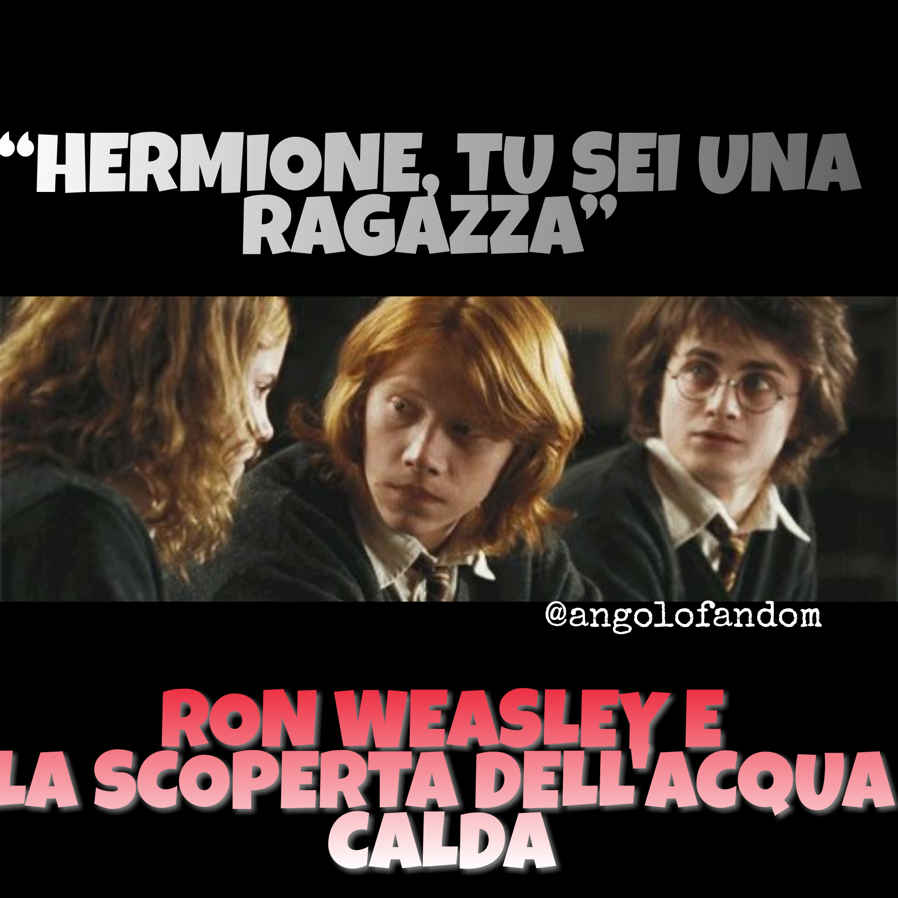 Hermione Ron Meme Harrypotter Hi Well Post In Italian