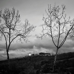 tuscany blackandwhite monochrome landscape