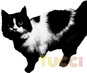 freetoedit tucci cat petcat tuccithecat