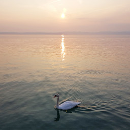 freetoedit swam lake sunset