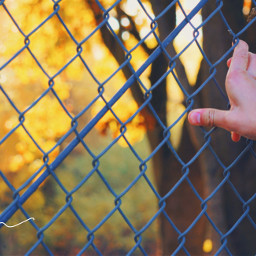 autumn leaves fence hand blur

taken blur