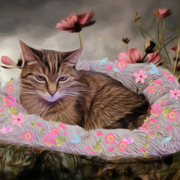 freetoedit flowerbrush flower cat catlove