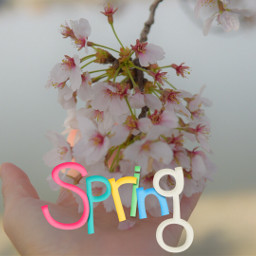 freetoedit springday