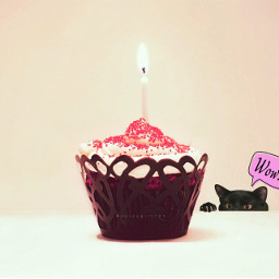 freetoedit myedit cat cupcake cute srcablackcatforfridaythe13th