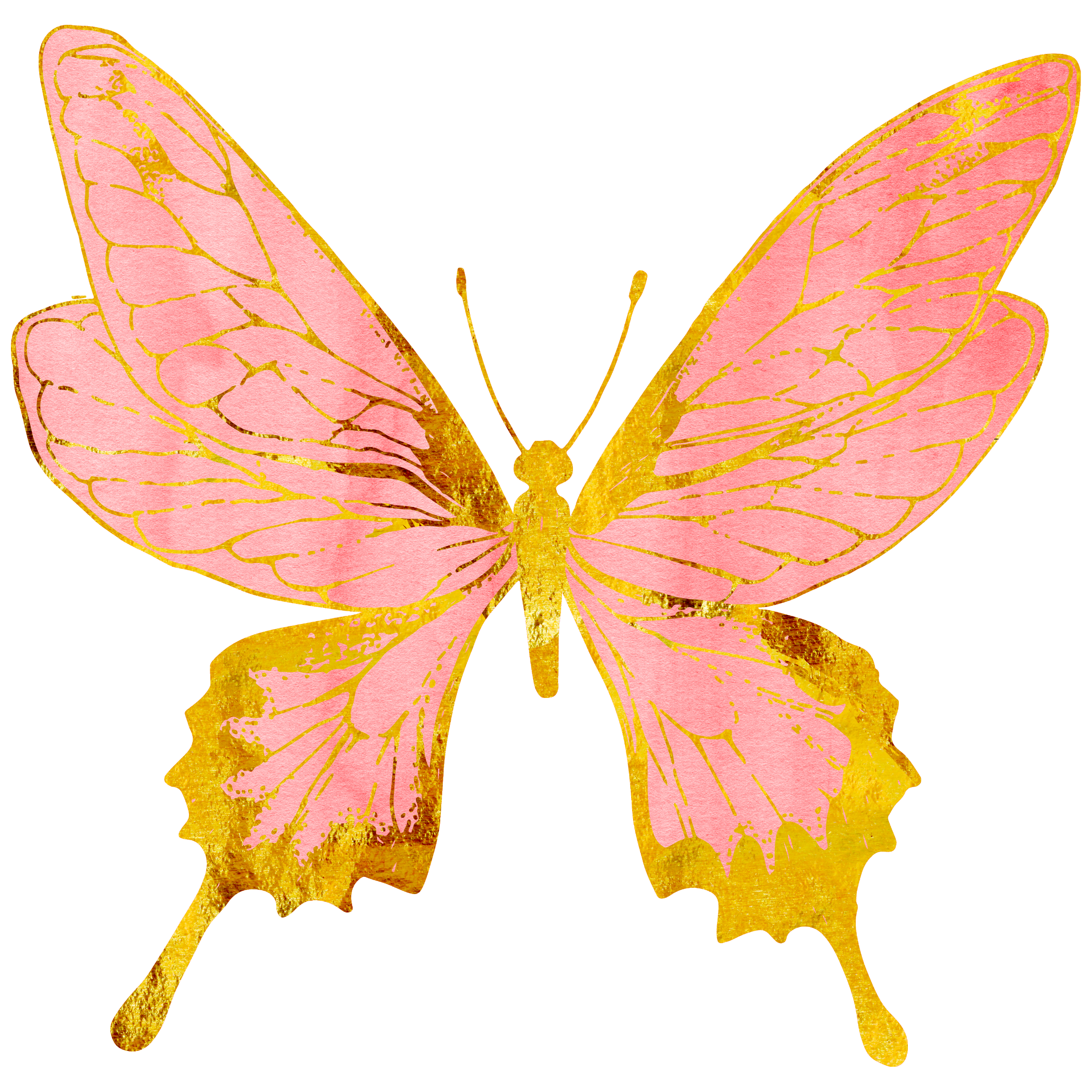 Butterflies Butterfly Pastel Pink Sticker By Jessicaknable