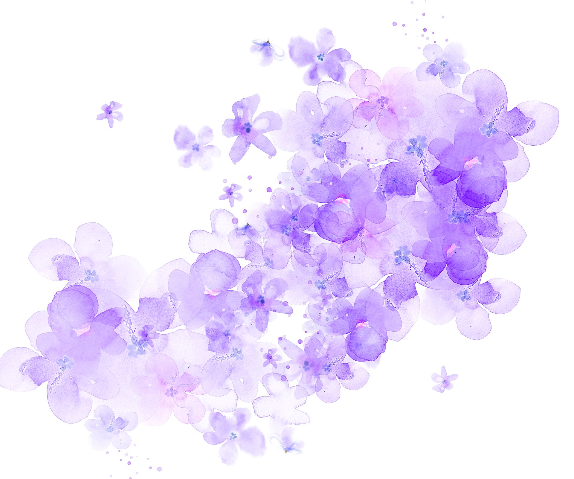 ftestickers watercolor flowers purple transparent...