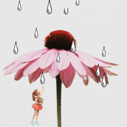 freetoedit ircpinkflower pinkflower