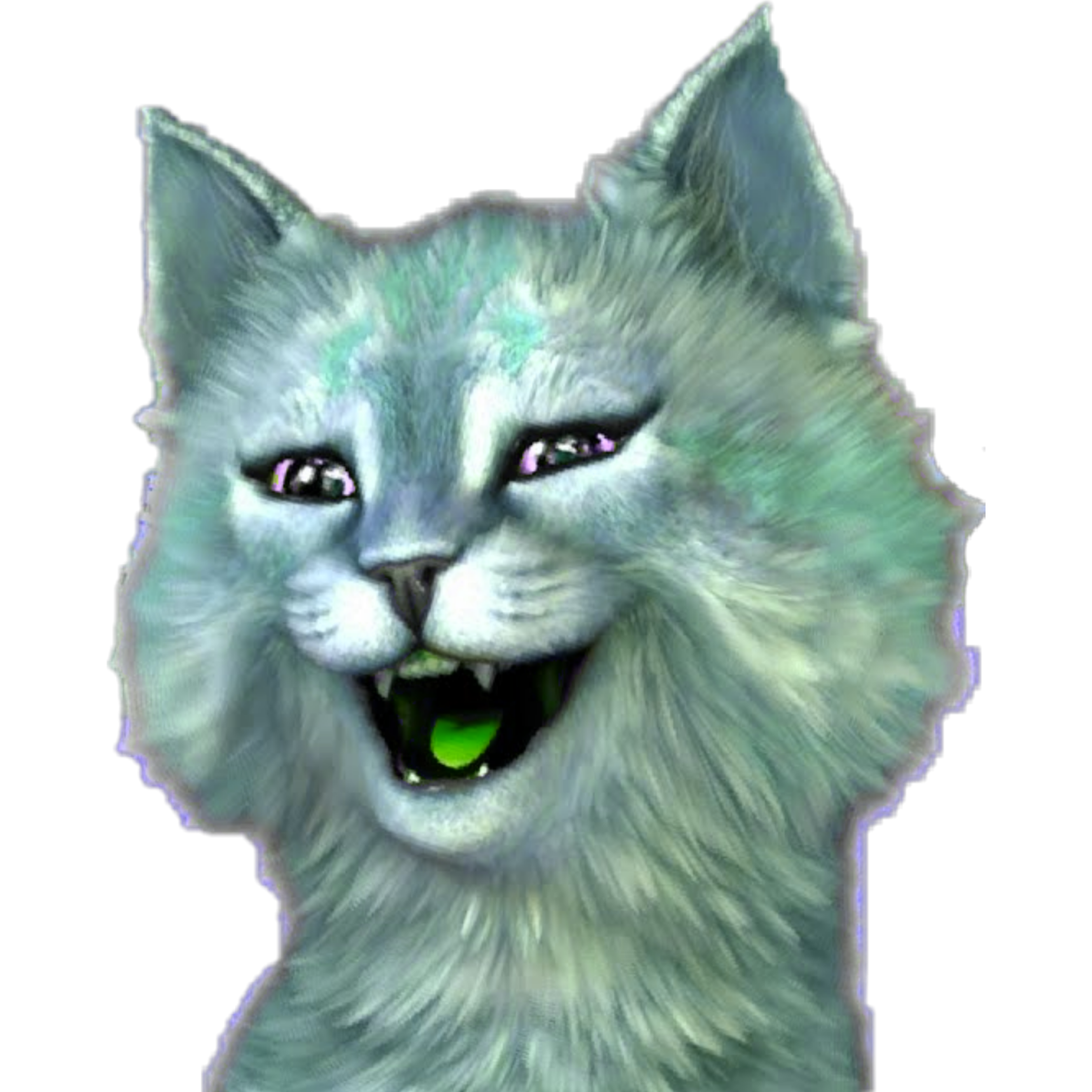 Кошечку лану