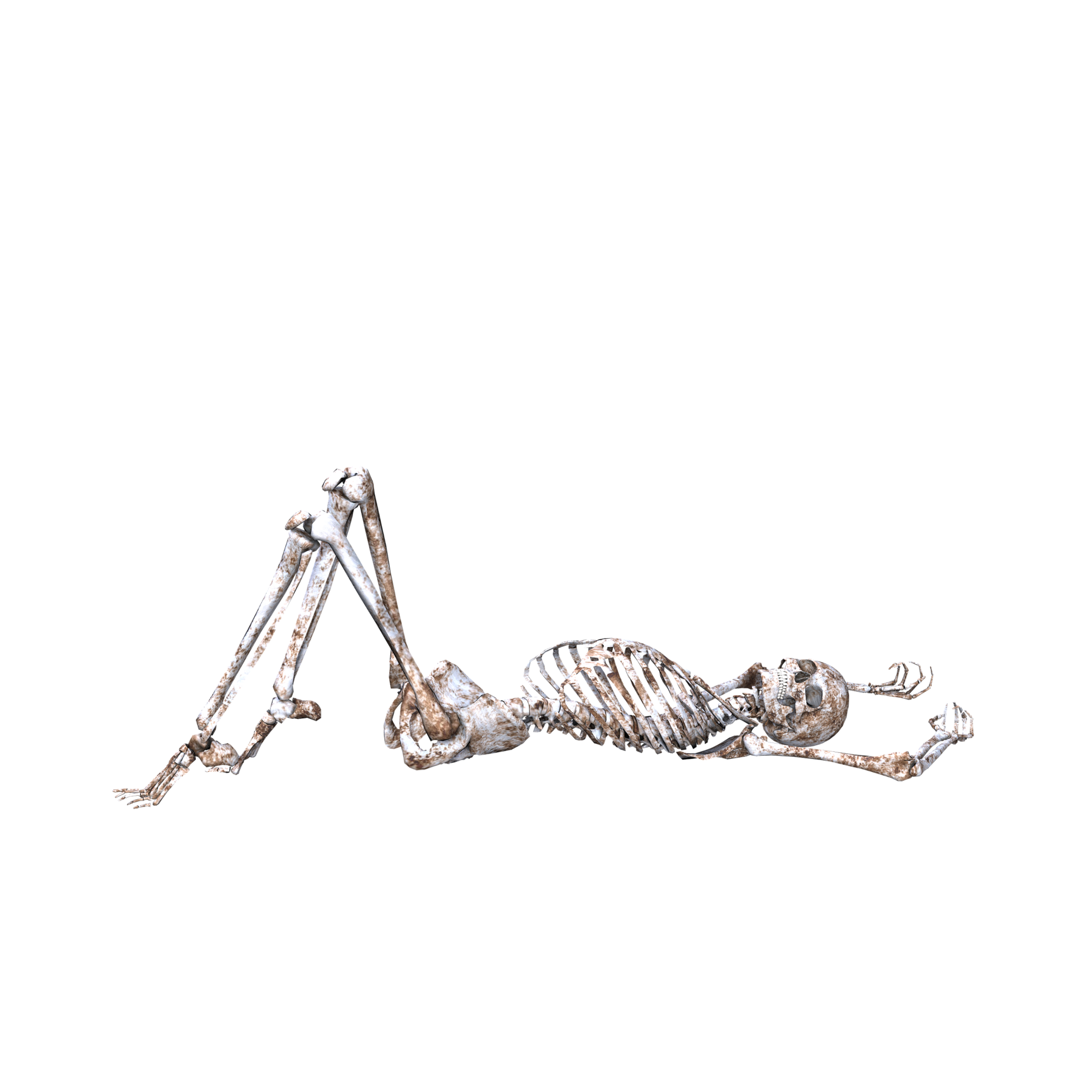 ftestickers skelett bones sticker by @badpsychogirl1909